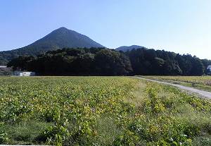 20101104mikami (8).jpg